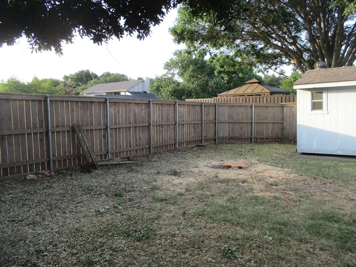 Cleared yard after professional tree removal in Millington