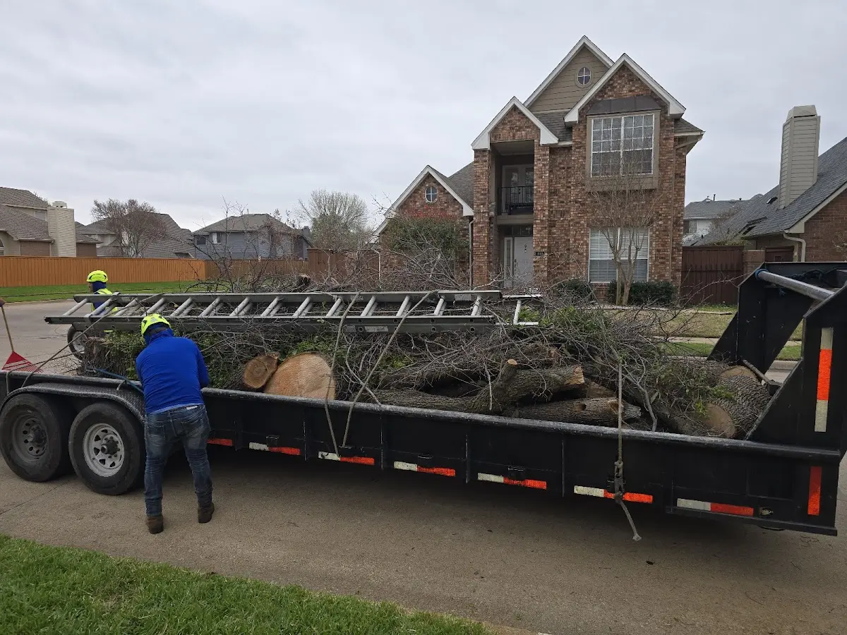 Expert Tree Removal with proper safety equipment in Millington